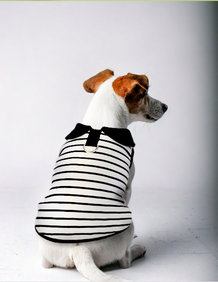 Nautical Striped Shirt