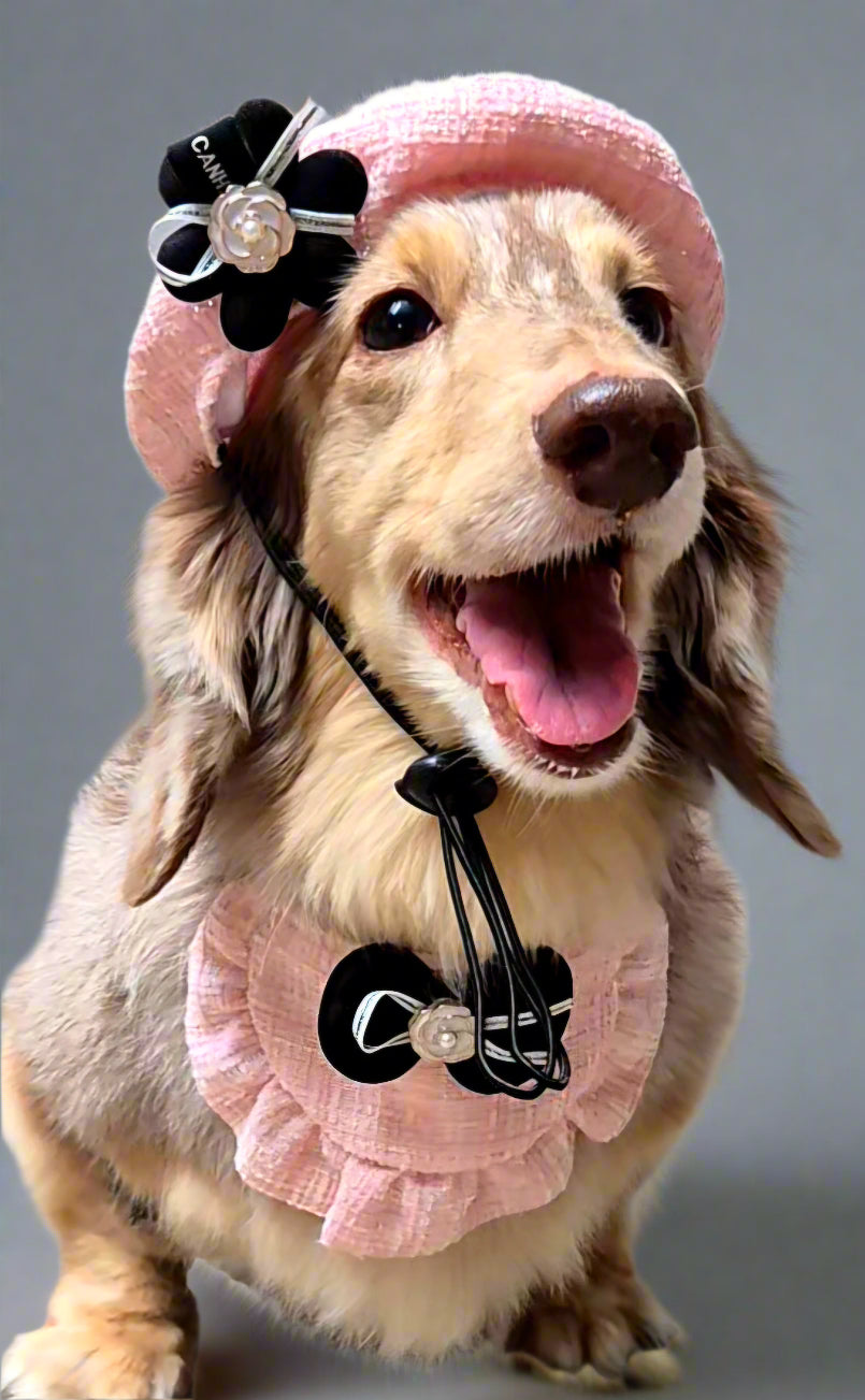 Beret & Bib