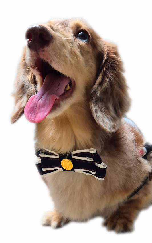 Navy Bow